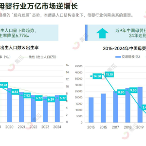 出生率低迷，婴童行业却逆势狂飙，BeBeBus如何做到反向增长？